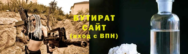 индика Вяземский