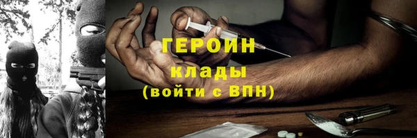 индика Вяземский