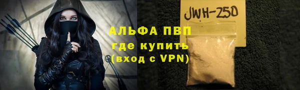 гидра Вязники