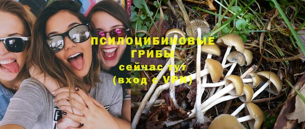 гидра Вязники