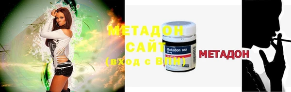 индика Вяземский