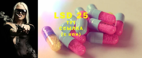индика Вяземский