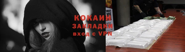 прущие грибы Вязьма