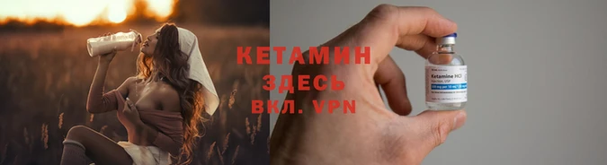 прущие грибы Вязьма