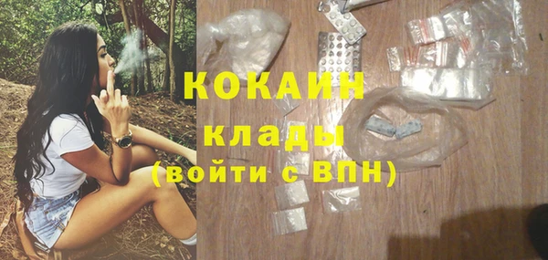 индика Вяземский