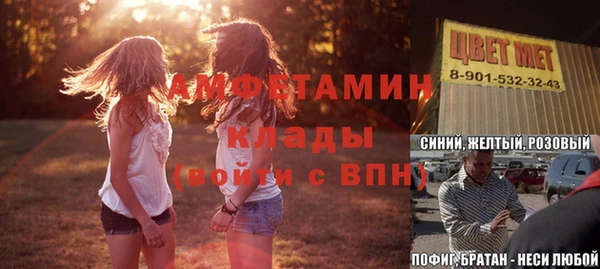 индика Вяземский