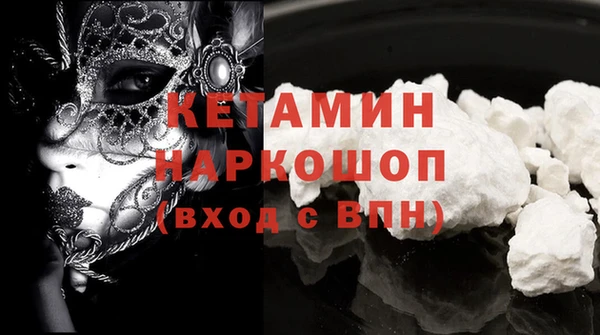 индика Вяземский