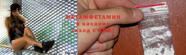 индика Вяземский