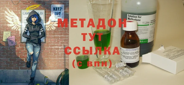 прущие грибы Вязьма