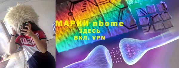 Альфа ПВП Горняк