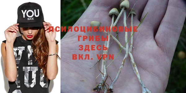 наркотики Магас