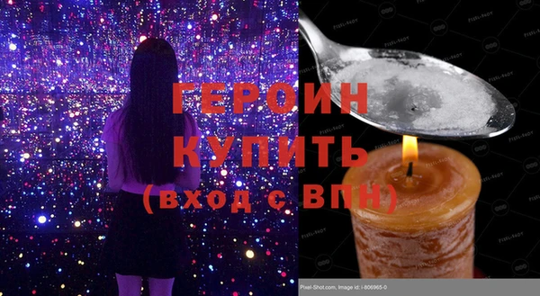 индика Вяземский