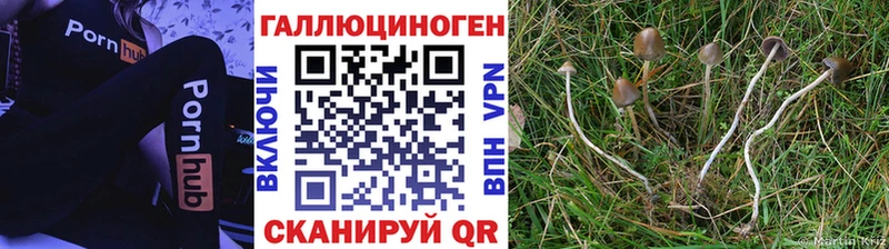 цена   Звенигород  Галлюциногенные грибы Magic Shrooms 